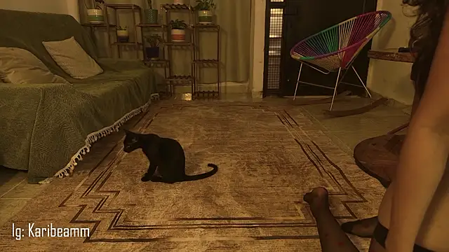 KaribeamのライブXXXチャット