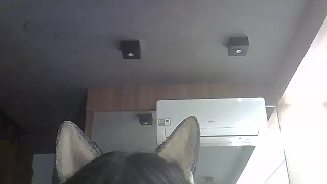 SkinnyKittenのライブXXXチャット