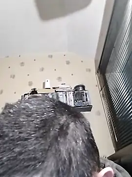 Erimyka: вебкам-шоу