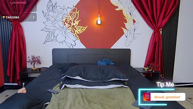 Noah_Greenhartt Webcam show