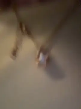 Chatroom XXX en direct de SweetBunnyGF