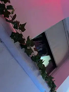 Piratee666 网络视讯表演