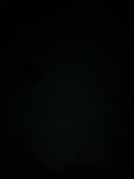 Manfredini607452 Show in webcam