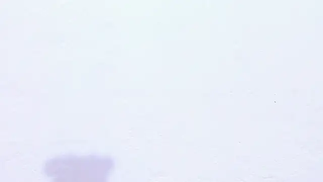 Emely_pregnantt's Live XXX Chat