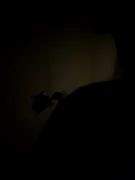 Show modela se_x_instruktor na web-kameri