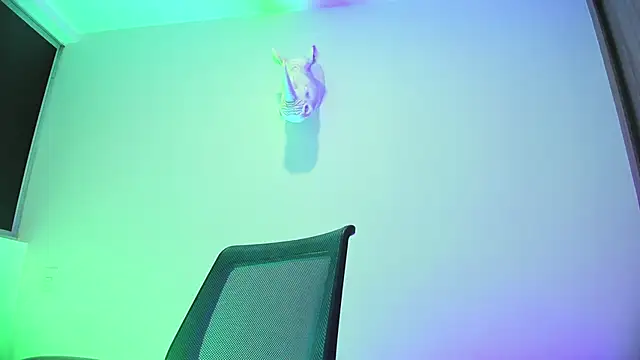 Pokazy przed kamerką – Dagoti