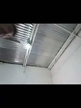 Kingbigcock23cm élő XXX-chatje