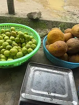 Linh-xxx élő XXX-chatje