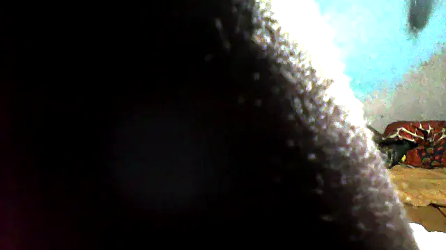 Онлайн чат XXX little__joy