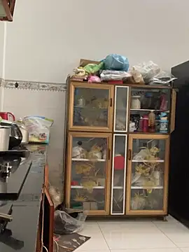 meiiijr55 Chat XXX live