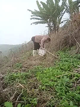 cutebobi 网络视讯表演