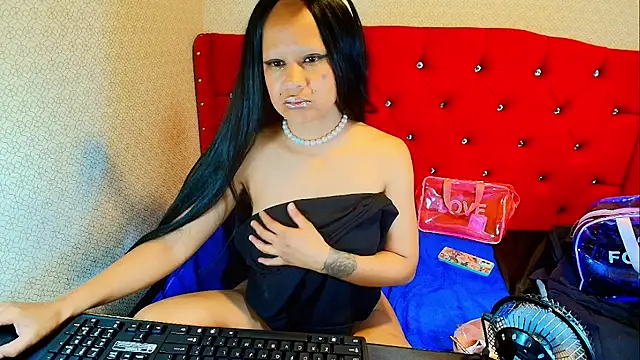 blackxstar11 라이브 XXX 채팅