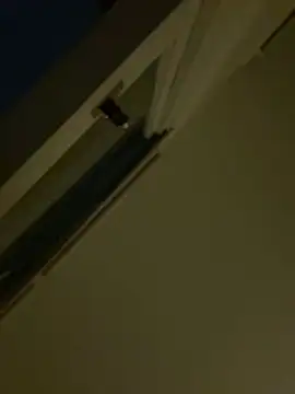 kadycatxx webkamerás műsora