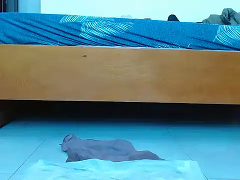 Boiboi2x: απευθείας συνομιλία ΧΧΧ