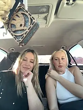 MerlinDave's Webcam Show