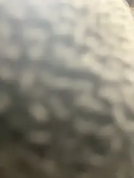 MerlinDave 现场XXX聊天