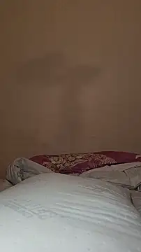 عرض كام palmal3