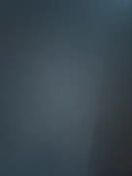 Онлайн чат XXX CarlosStillBig