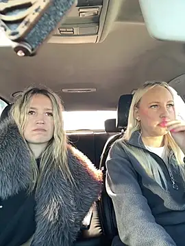 MerlinDaven Webbikameraesitys