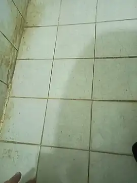 Živý XXX chat Stallionbull37