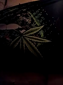 Pokazy przed kamerką – ySqmbVanbe