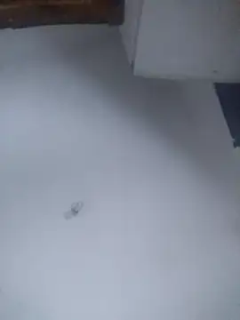 Ariihot: онлайн-секс-чат