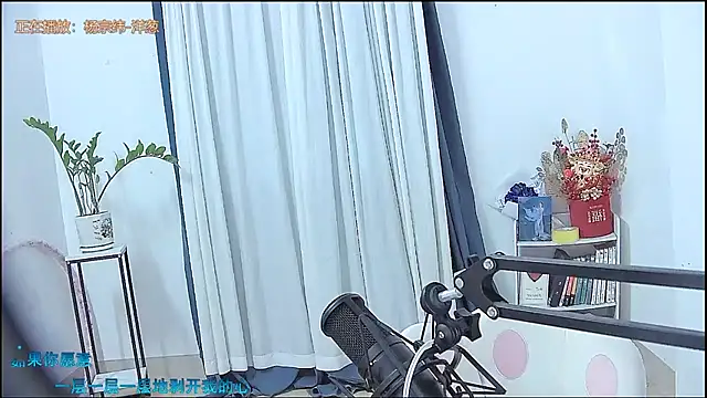 Chat +18 de Amity-ox ao vivo