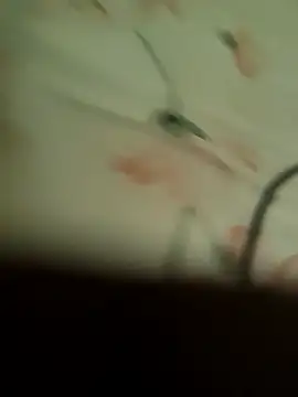 Telugu_person12's Live XXX Chat