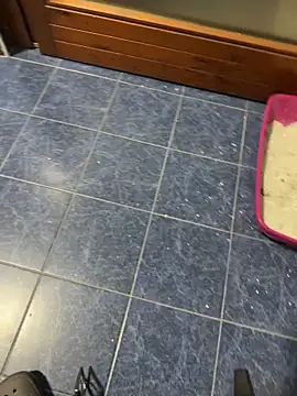 maialexte: διαδικτυακό σόου στην κάμερα