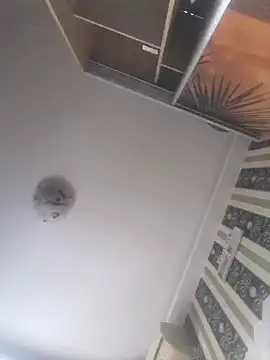 Ianne150 Adlı Modelin Canlı XXX Sohbeti