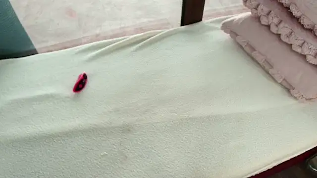 Chat XXX en directo de AlicePirs