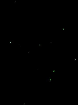 Whipit323 Show in webcam