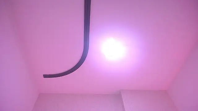 Živý XXX chat _carolina_fox