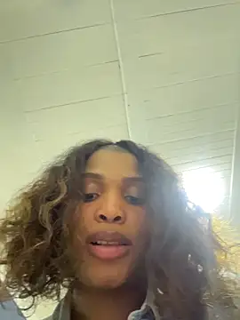 AuroraBrow Show Webcam