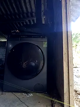 Zhan99999 在線直播表演