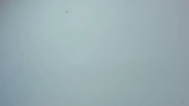 selene_red_ 现场XXX聊天