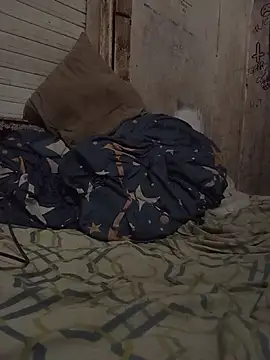 Chat XXX en directo de MYM69_-