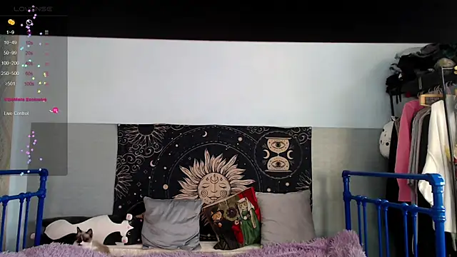 ivamayy 라이브 XXX 채팅