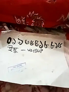 Show Webcam de mistipriya