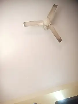 indianshycouple 라이브 XXX 채팅