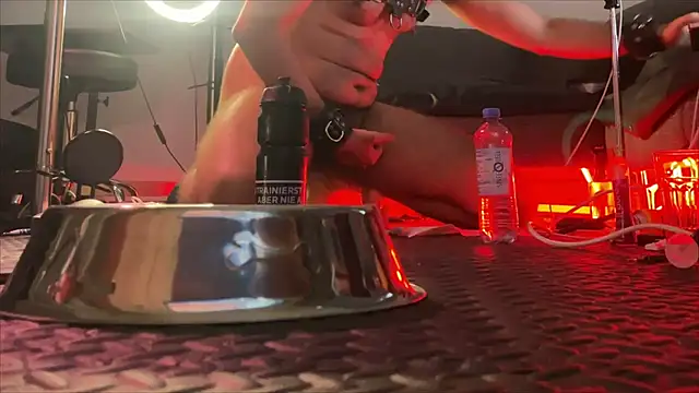 Alphapigbln webcam show