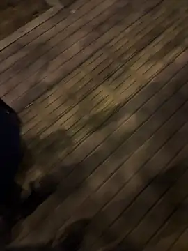 Онлайн чат XXX goudanlove