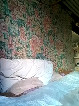 Show Webcam de zayona1