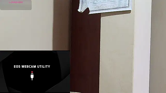 Вебкам-шоу Gre3k_god