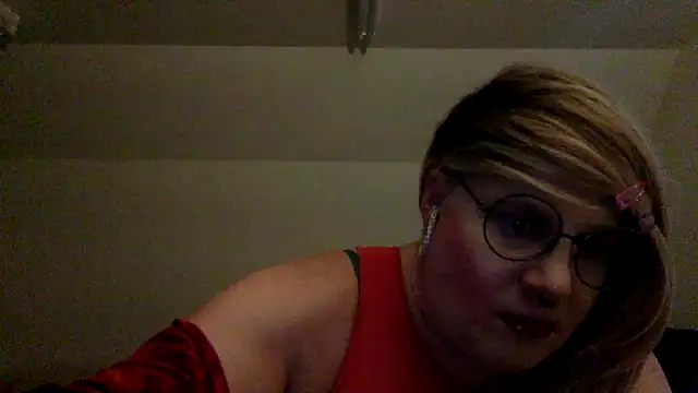 Show webcam de SSeekcd420333