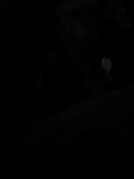 49swm4all Show in webcam