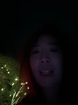 Show Webcam de yourkeer