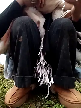 hoahong2 网络视讯表演