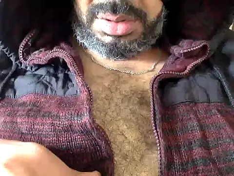 عرض كام CaiBull