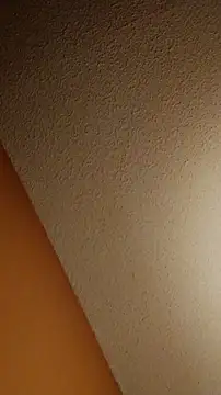 MrSugarballs: διαδικτυακό σόου στην κάμερα